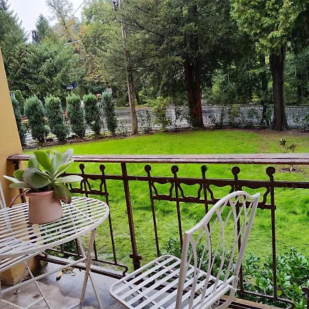 Nowy Swiat * كودوفا- زدروي