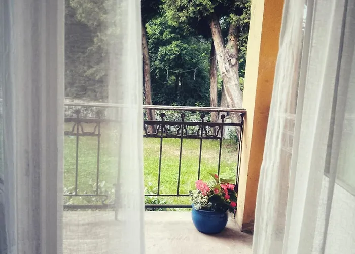 Nowy Swiat * クドヴァ・ズドゥルイ