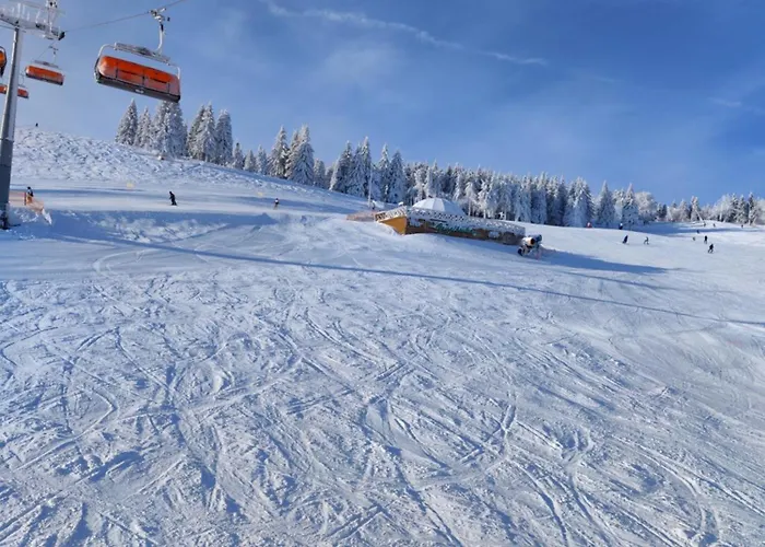 Nowy Swiat クドヴァ・ズドゥルイ