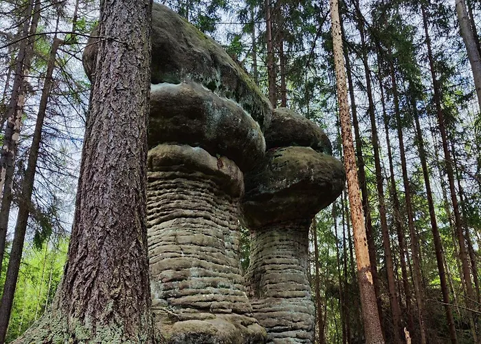 アパート Nowy Swiat クドヴァ・ズドゥルイ